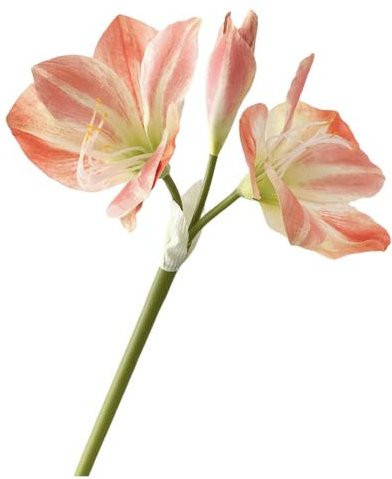 Qara Real Touch Künstlicher Amaryllis-Strauß in Rosa mit 2 Blüten und 1 Knospe - Bild 1