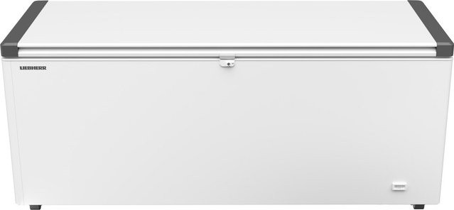 Liebherr Gefriertruhe EFL 6055-21 weiß - Bild 1