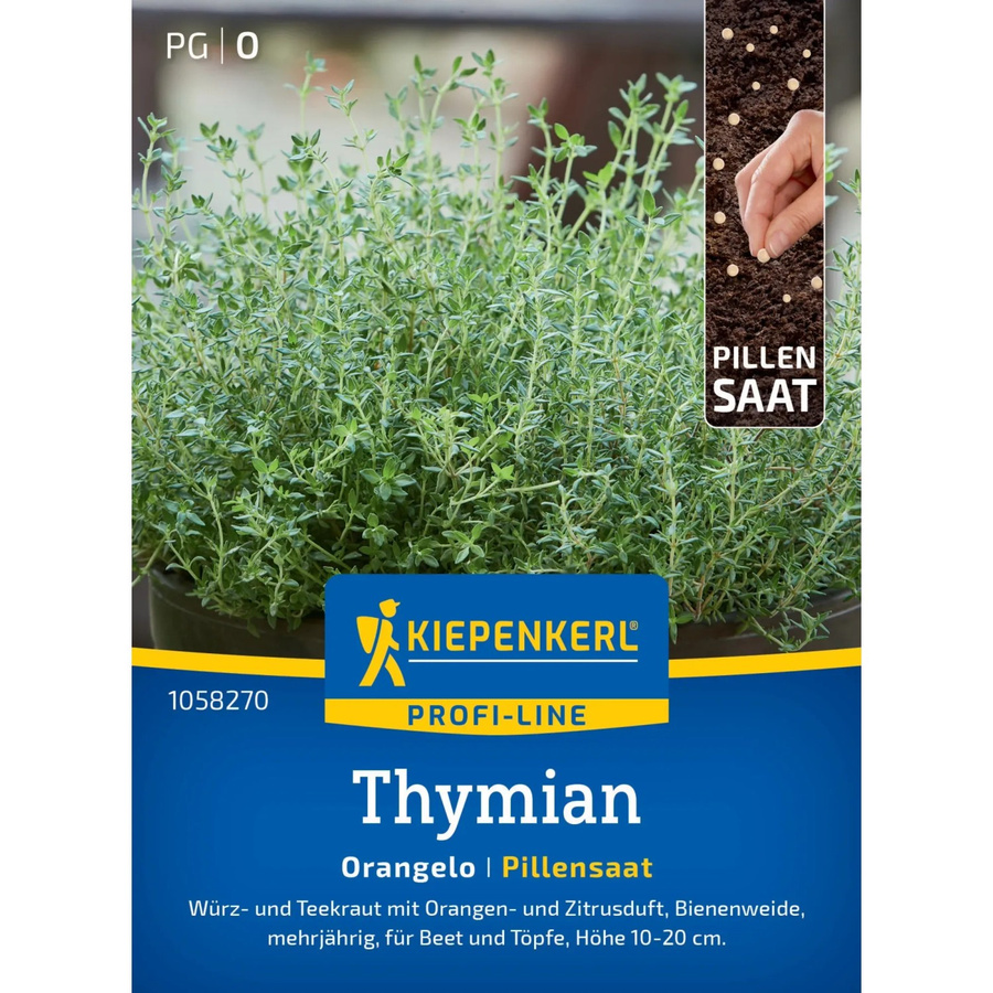 Kiepenkerl Profi-Line Thymian Orangelo Pillensaat Gewürzpflanze - Bild 2