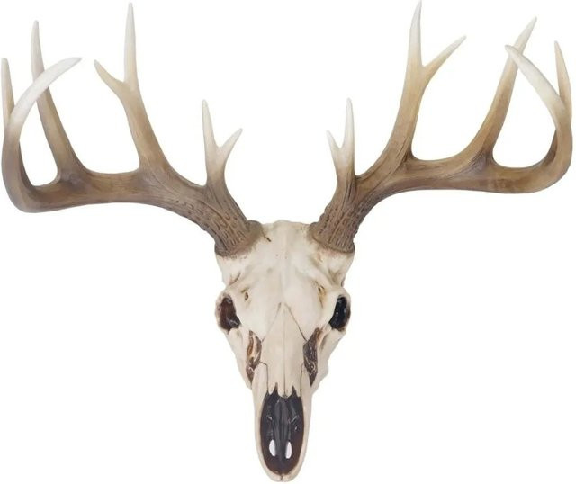 MCW Deko Schädel mit Hirschgeweih in Beige aus Polyresin für die Wandgestaltung im Western-Stil, H x B x T: 58 x 42 x 40 cm - Bild 1