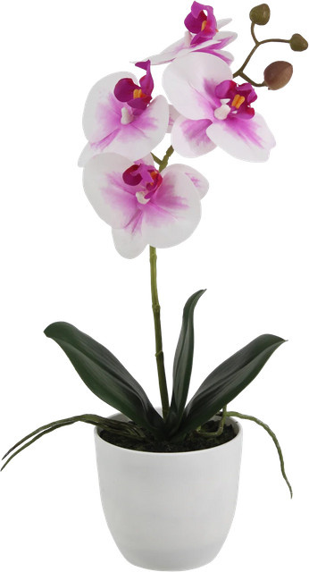 Künstliche Orchidee Dan von artplants in Pink, Höhe: 36 cm - Bild 1
