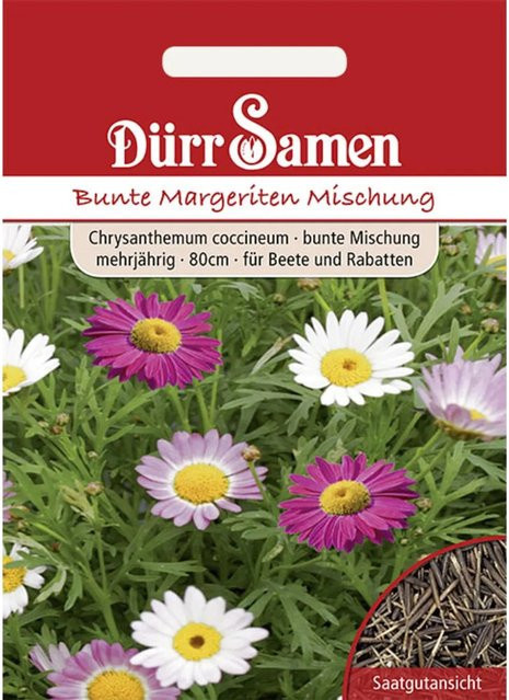 Dürr Bunte Margeriten Saatgut Mehrjährig Bunte Mischung - Bild 1