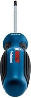 Bosch Professional Schraubendreher TX 25 mit 100 mm Länge in Blau/Schwarz - Bild 1