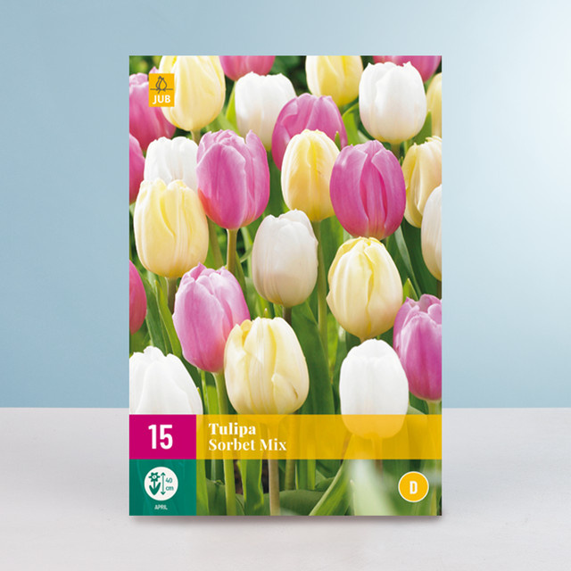 Tulpen Sorbet Mix Zwiebeln von BLUME2000 für Balkon und Terrasse, 15 Stück - Bild 1