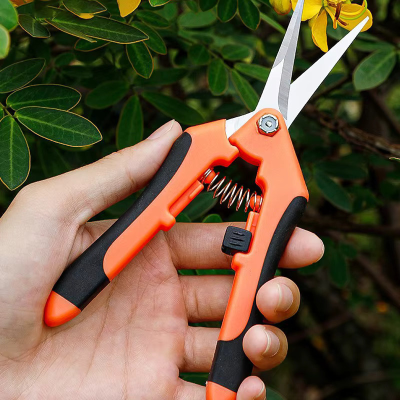 Gartenschere aus Edelstahl in Rot für Blumen, Obst und Weintrauben, erhältlich als gebogene oder gerade Ausführung - Bild 2