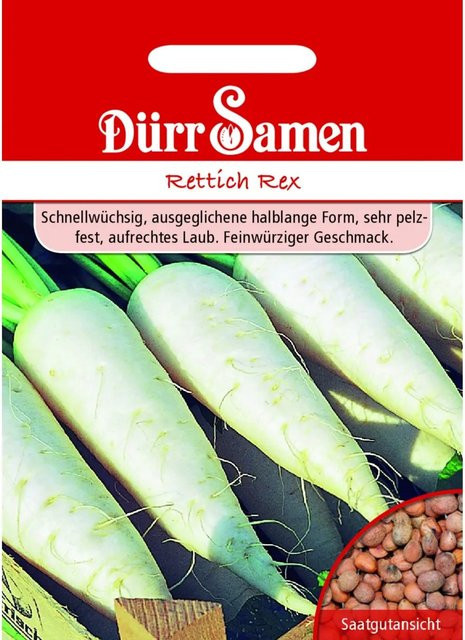 Dürr Rettich Rex Saatgut für Frühjahr und Sommer - Bild 1