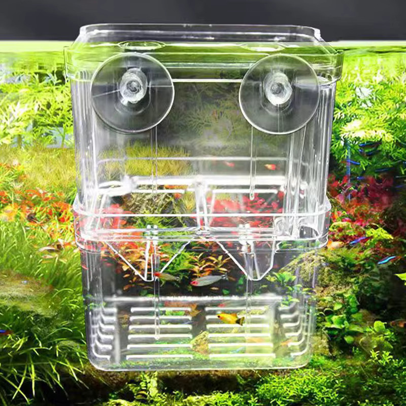 TUNFAN Acryl-Aquarium-Zuchtbox in Transparent als Isolationsbehälter für kleine Fische und Betta-Brutkasten mit Saugnapf - Bild 4