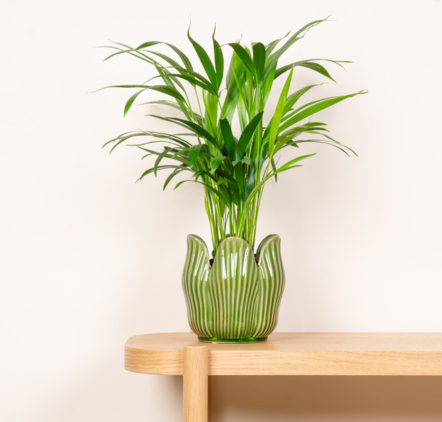 Keramik Übertopf Blätterdesign von BLUME2000 in Grün, Höhe: 17,5 cm - Bild 1