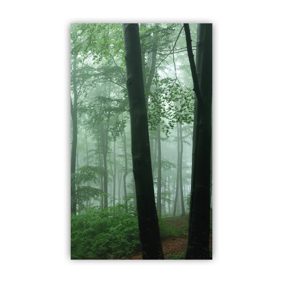 Walllux Duschrückwand Nebel im Wald aus Alu-Verbund, Breite: 125 cm, Höhe: 210 cm, Stärke: 3 mm - Bild 1