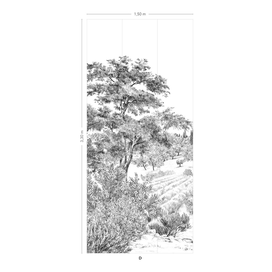 Isidore Leroy Mural Provence Grisaille Panel D Wandtapete mit floralem Vintage-Design in Grau, B/H: 330 x 150 cm - Bild 1