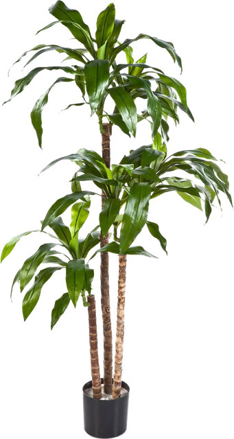 Künstlicher Drachenbaum Noel von Aplanta, Höhe: 120 cm - Bild 1