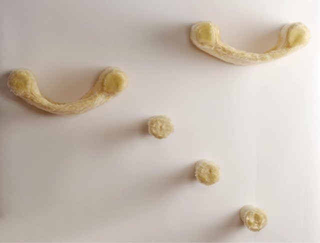 Silvio Design Katzen-Kletterwand Finja 5-teilig in Beige mit Textil-Hängematte - Bild 1
