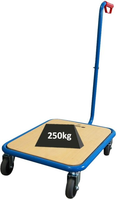 PROREGAL Profi Plattformwagen Schiebewagen in Lichtblau, H x B x T: 96 x 50 x 60 cm, Traglast 250kg - Bild 1