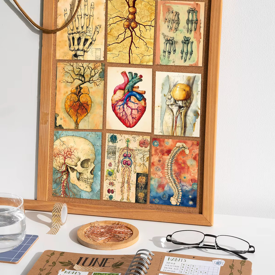 60 Stück Vintage Anatomische Journaling-Postkarten aus Papier in Mehrfarbig für Scrapbooking und Biologie-Collagen - Bild 2