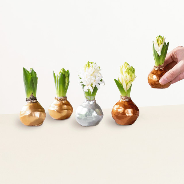 BLUME2000 Funkelndes Fest 5er Set Ornamental - Bild 1