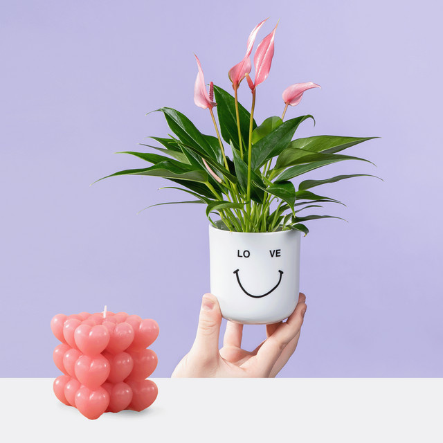 BLUME2000 Herz-Bubble-Kerze Crushing on you in Pink und Lightpink - Bild 1