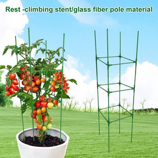 Amusedly Tomatenkäfig Set, höhenverstellbares Gemüsegitter für vertikale Kletterpflanzen und Blumen - Bild 5