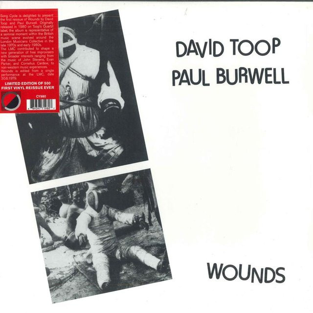 Wounds von David Toop, Paul Burwell, Vinyl/LP, schwarz - Bild 1