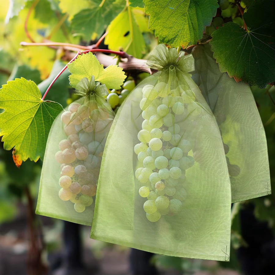 Wiederverwendbare Organza-Netzbeutel in Grün als Traubenschutzbeutel und Schädlingsbarriere für Obst und Gemüse mit Kordelzug - Bild 2