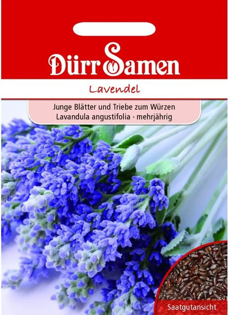 Dürr Lavendel Saatgut für die Aussaat im Frühjahr, 100 g - Bild 1