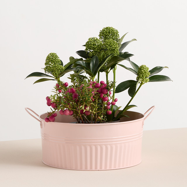 BLUME2000 Zinkwanne in Pink für Garten und Balkon, Durchmesser: 24 cm - Bild 1