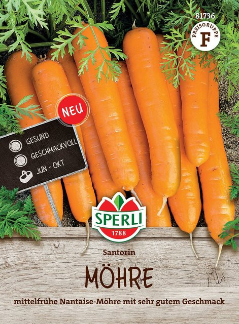 SPERLI Möhren-Samen Santorin F1 Orange - Bild 1