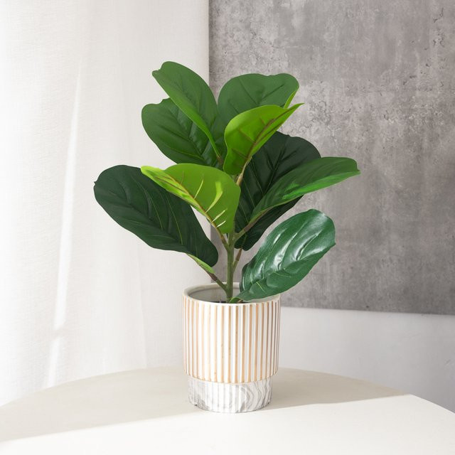 Künstliche Ficus Pflanze Kmitang Banyan Baum mit 9 Blättern in Grün, Höhe: 38 cm - Bild 1