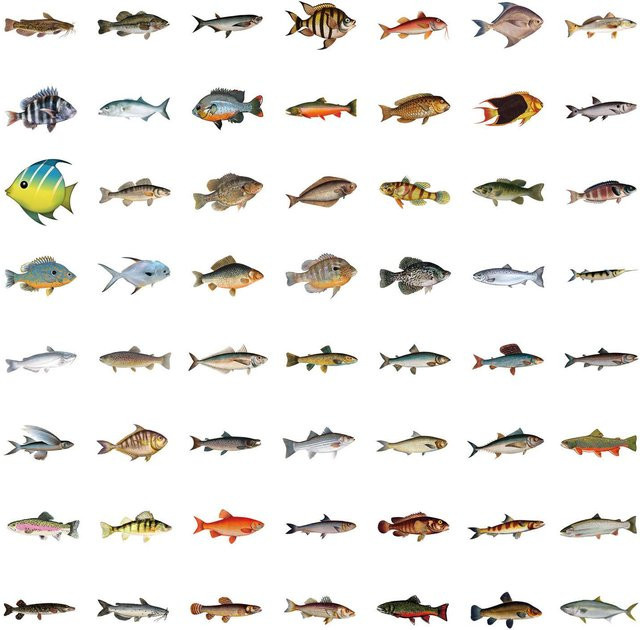 55 Stück Personalisierte Fisch Aufkleber von Binchi Outdoor Product in Multicolour zur Dekoration von Koffer, Wasserbecher, Schreibwaren, Handy, Laptop und Kühlschrank - Bild 1