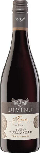 Divino Nordheim-Thüngersheim Pinot Noir Rotwein, Franken, trocken, 2021, 0,75 l - Bild 1