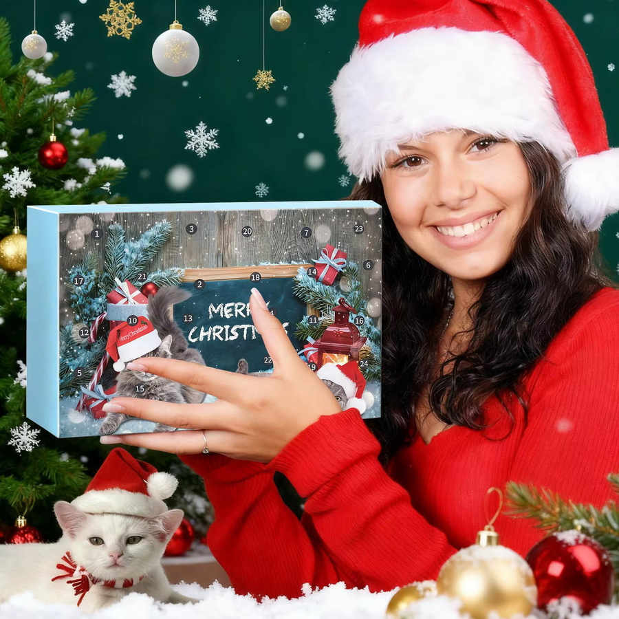 Weihnachtskalender 2025 mit Kätzchenspielzeug für 24 Tage in Blau und Multicolour - Bild 4