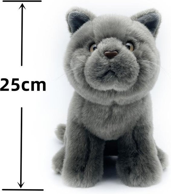 Yiran Health & Beauty Britisch Kurzhaar Katze, Plüschtier, ab 3 Jahre - Bild 1