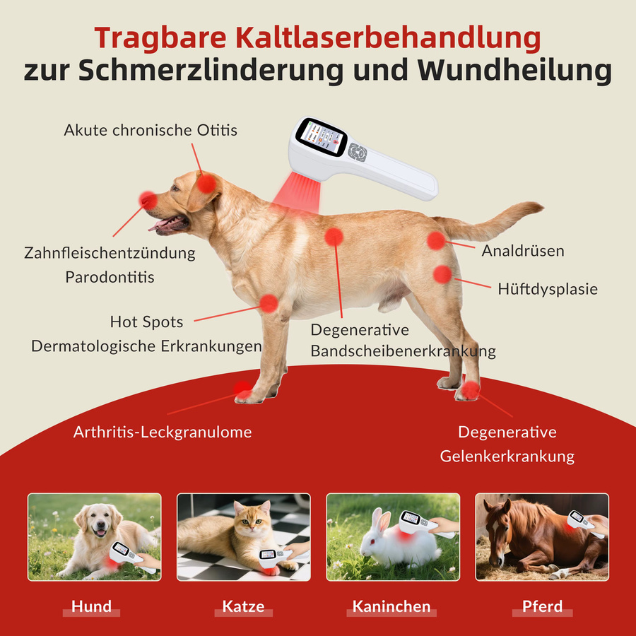 ZJKC Rotlicht-Kaltlasertherapiegerät, Unisex, Weiß - Bild 4