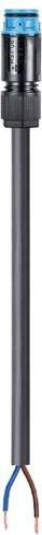 Wieland Electric Anschlussleitung Schwarz 41.427.4033.9 - Bild 1