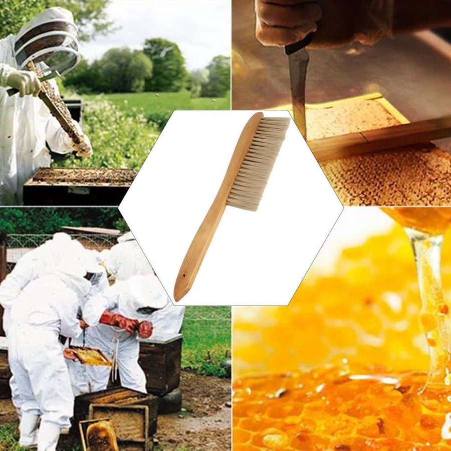 Doppelreihige Bienenstock-Reinigungsbürste mit langem Griff - Bild 4