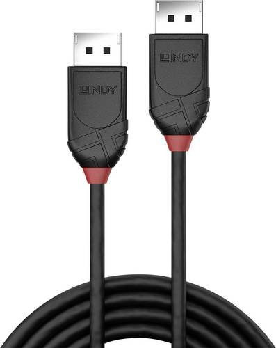 Lindy DisplayPort Anschlusskabel Schwarz 3,00 m - Bild 1