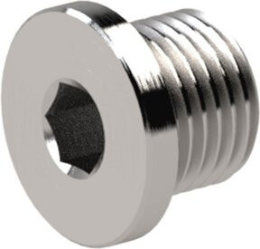 Riegler Verschlussschraube mit Innensechskant und Bund, G 1/4, SW 6, Edelstahl A4-80, Silber - Bild 1