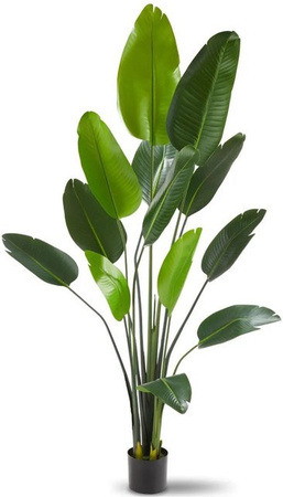 tectake Künstlicher Paradiesvogelbaum Tropic in Grün mit PEVA-Blättern und stabilem Kunststoff-Blumentopf, B/T/H: 25 x 25 x 180 cm