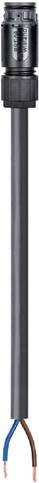 Wieland Electric Anschlussleitung Schwarz 4L.427.3037.4 - Bild 1