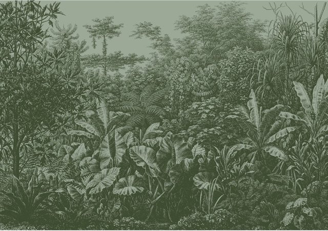 LOOKS by Wolfgang Joop Fototapete Rainforest Vlies in Grün, Breite: 3,5 m, Höhe: 2,7 m - Bild 1