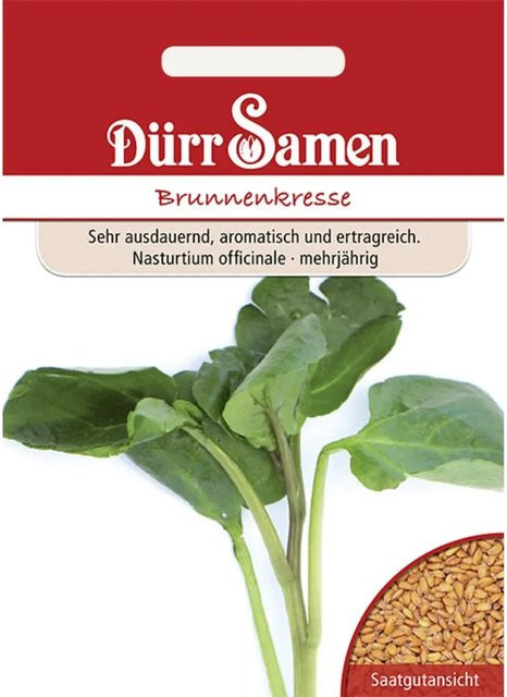 Dürr Brunnenkresse Saatgut 155 g - Bild 1