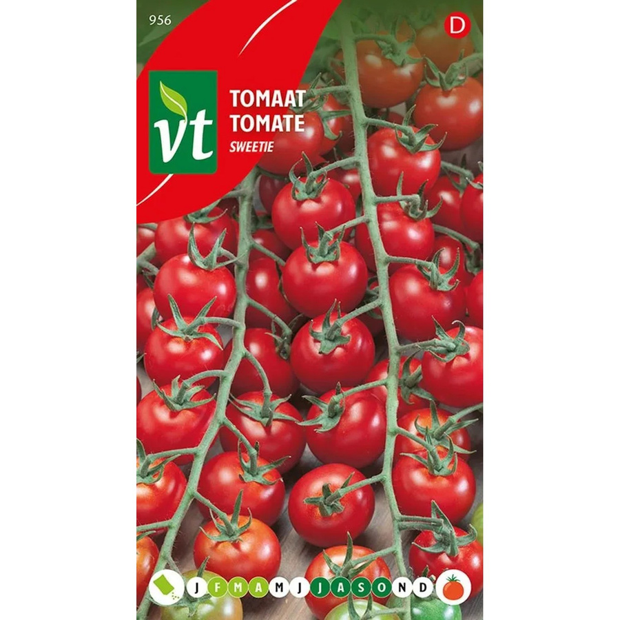 Arborix Tomate Sweetie Samen für den Hausgarten, 0,5 g mit süßem Geschmack - Bild 2