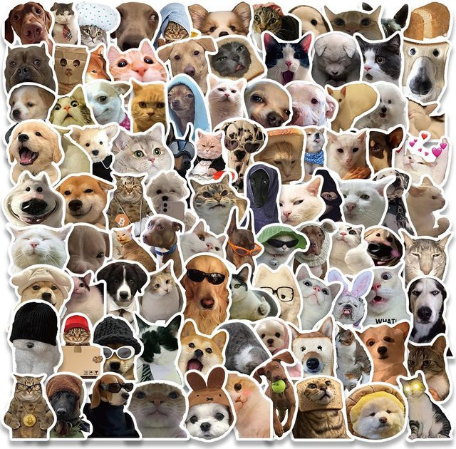 Lustige Tier Aufkleber Set mit Hunde und Katzen Memes von Binchi Outdoor Product in Multicolour für Skateboard, Notizbuch und Gepäck - Bild 1