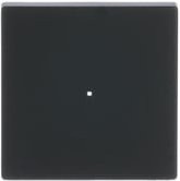 Busch-Jaeger Wippe Future Linear in Schwarz aus Kunststoff - Bild 1