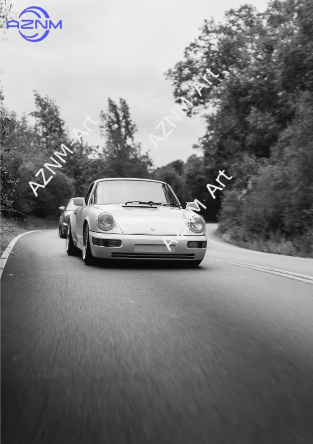 Modernes Leinwand-Poster Rastar Luxus-Auto in Schwarz-Weiß zur Wanddekoration für Wohnzimmer und Schlafzimmer - Bild 4