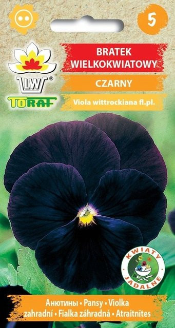 Toraf Blumensamen 461 Großblütig Schwarz - Bild 1
