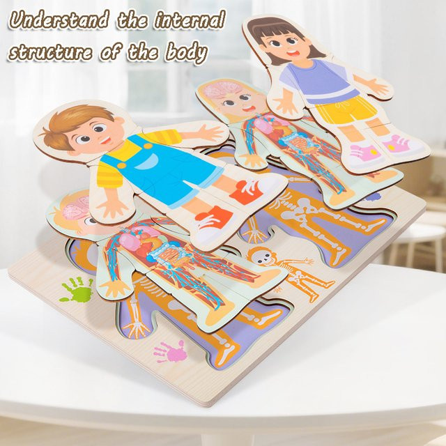 Brozebra Menschlicher Körper Struktur Puzzle, Holz, Montessori - Bild 1