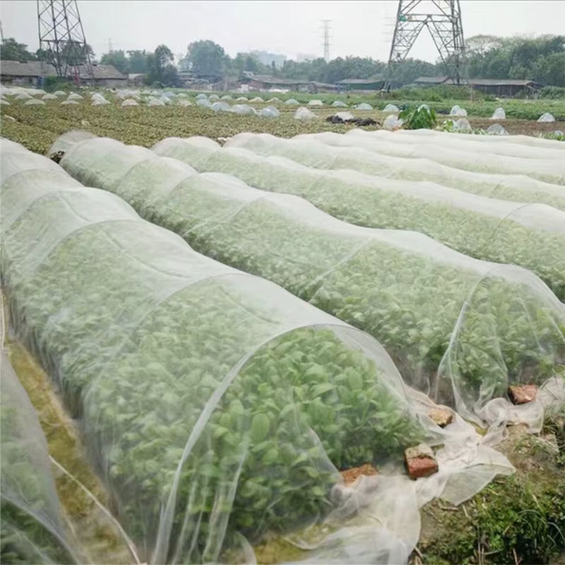 Transparentes Insektenschutznetz für Garten und Gewächshaus zur Schädlingsbekämpfung von Gemüse, Obst und Blumen - Bild 4