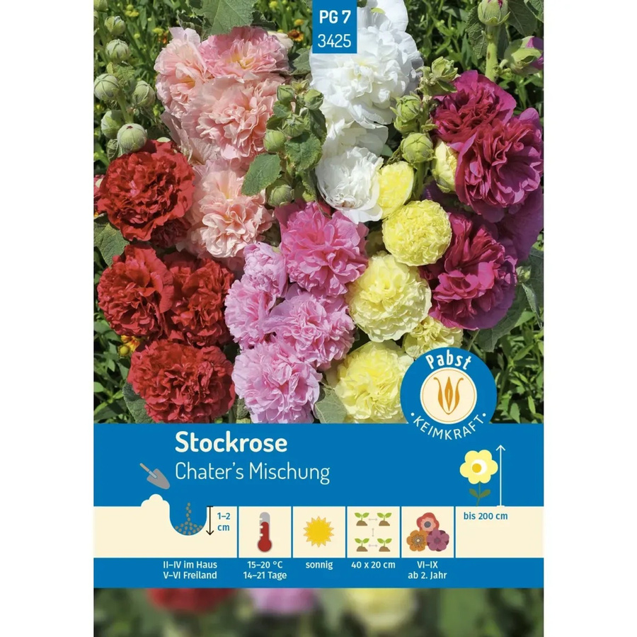 Pabst Keimkraft Stockrosen Chater'S Mischung Saatgut für Bauerngarten und Rabatten - Bild 2