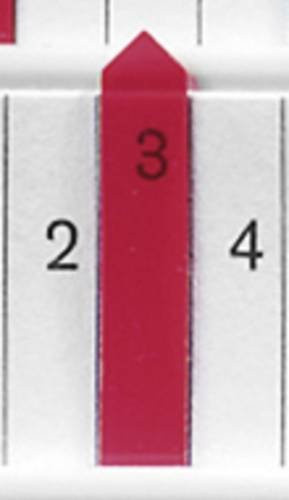 Eichner Planungspfeile Rot Transparent 50 Stück - Bild 1