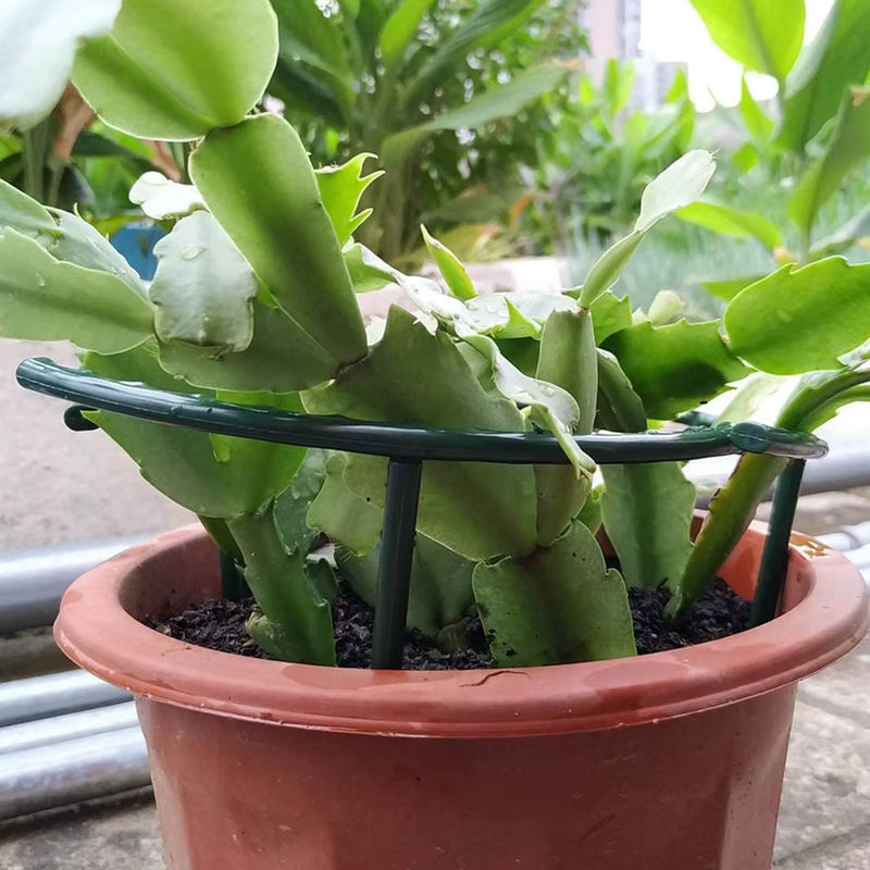 Pflanzenstützpfahlrahmen aus Kunststoff als Kletterhalterung für Blumenpflanzen im Innenbereich - Bild 5